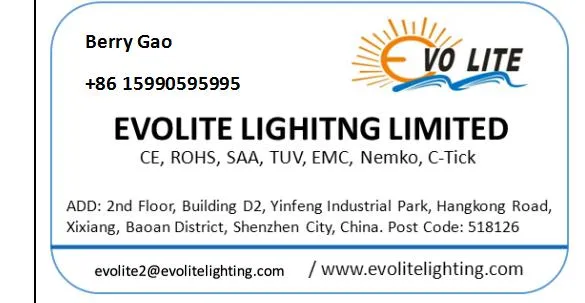 100W LED Spot Encastrable / Plafonnier LED/ Downlight for Hotel