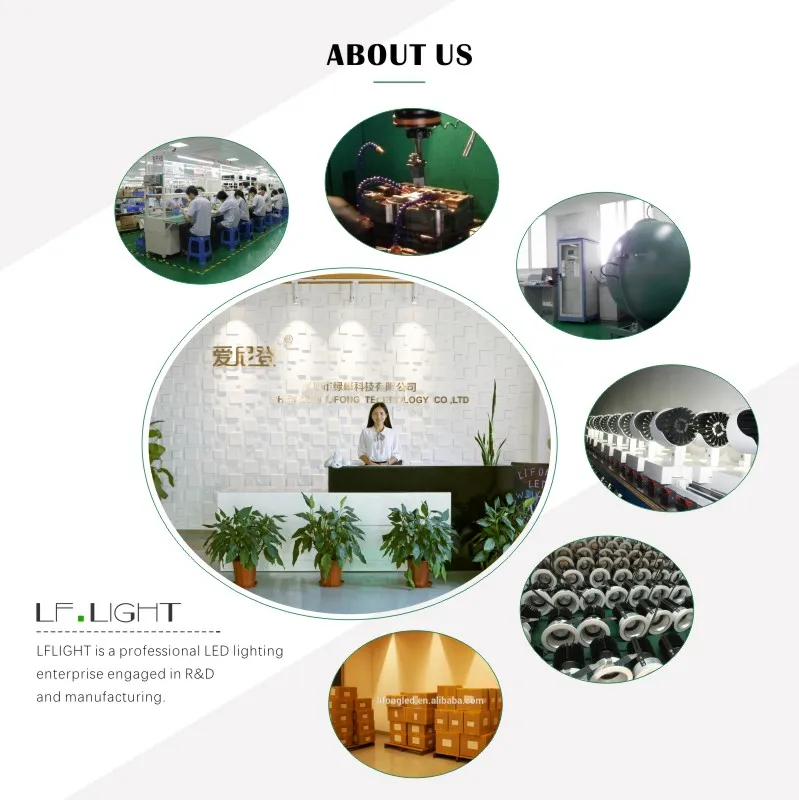 10W Ce RoHS SAA Certified LED Ceiling Lights Warm White 75mm Cut out Downlights for Home