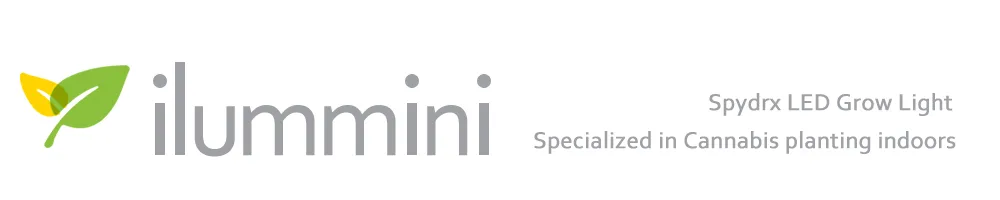 600mm CRI98 Full Spectrum LED Panel Lights Round 1200mm Round LED Pendant Light