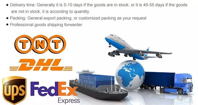 A60 G80 C35 C35t LED Filament Bulb