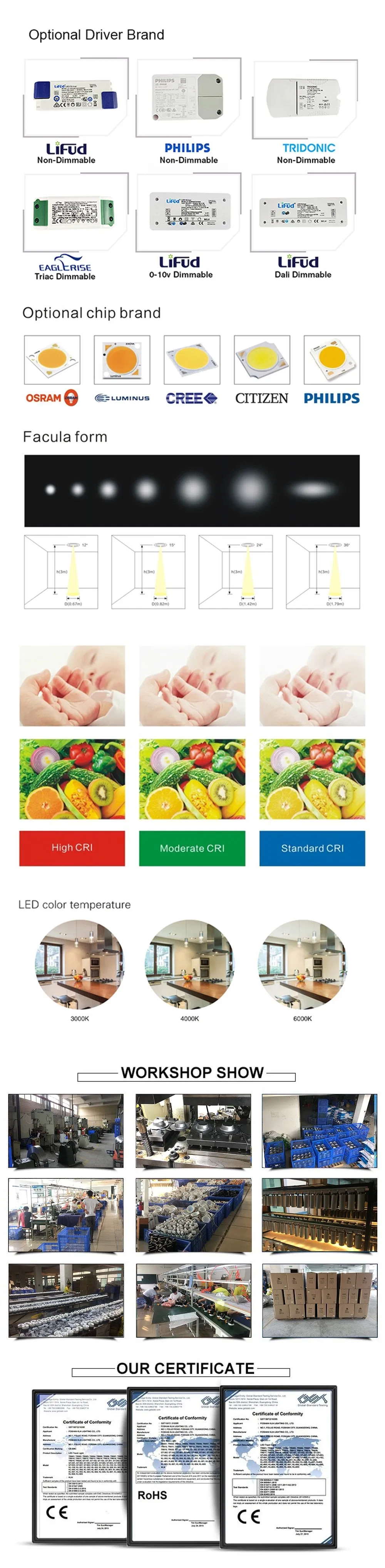 Big Size Shop Hotel Lobby Downlight 40W LED COB Down Light Lamp Ceiling Indoor Lighting