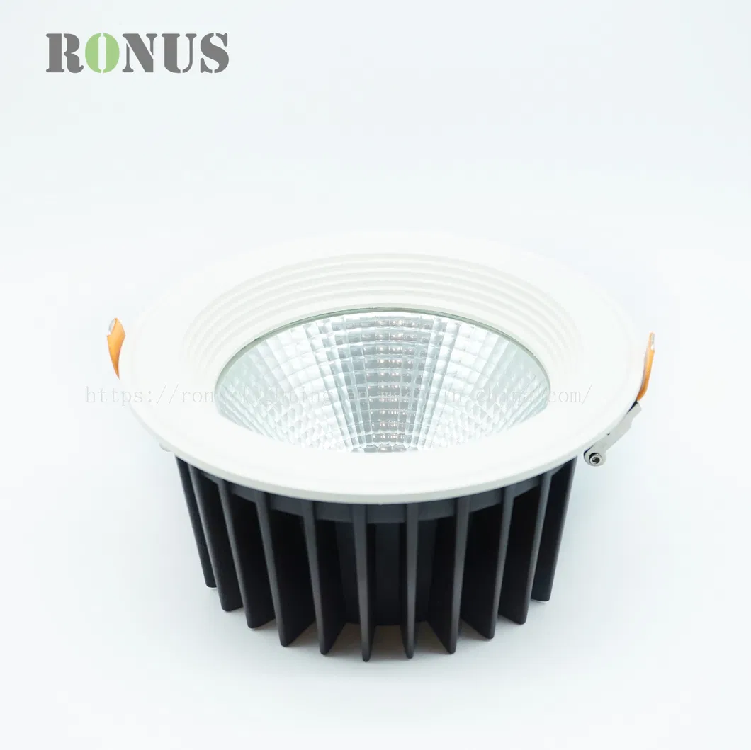 Big Size Shop Hotel Lobby Downlight 40W LED COB Down Light Lamp Ceiling Indoor Lighting