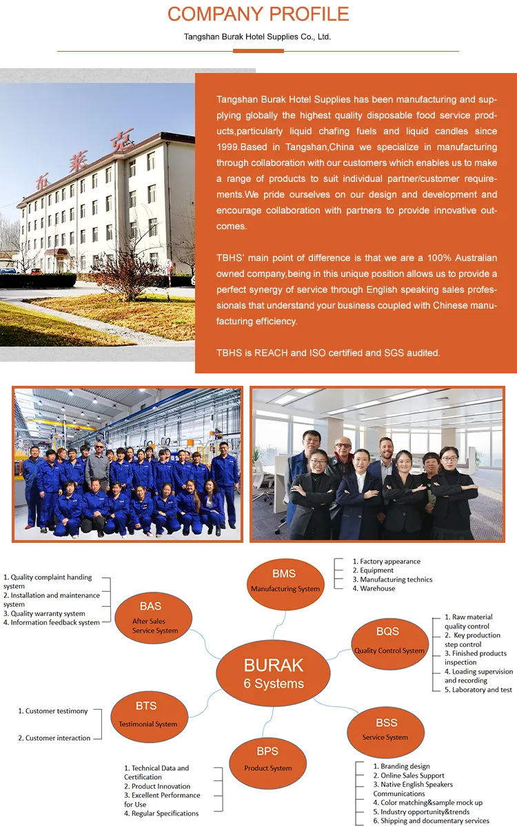 Camping Hanging LED Bulb Hike Light Emergency Lamp