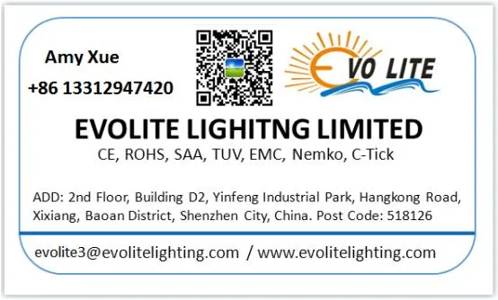 China New Type 21W COB LED Downlight LED 40 Degree Beam Angle Recessed LED Down Light 21W