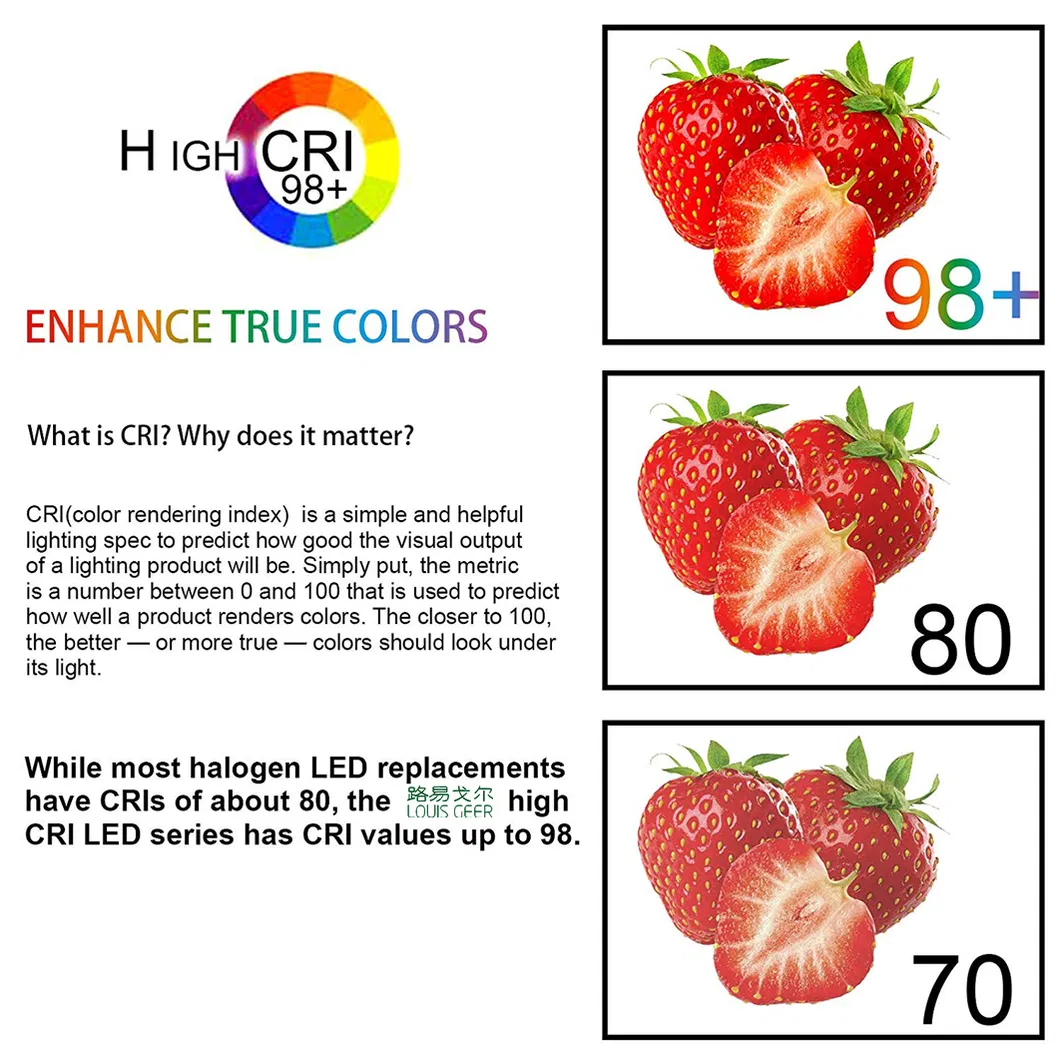 Custom Logo Energy Saving 10W 20W COB LED Shop COB Downlight LED Down Light