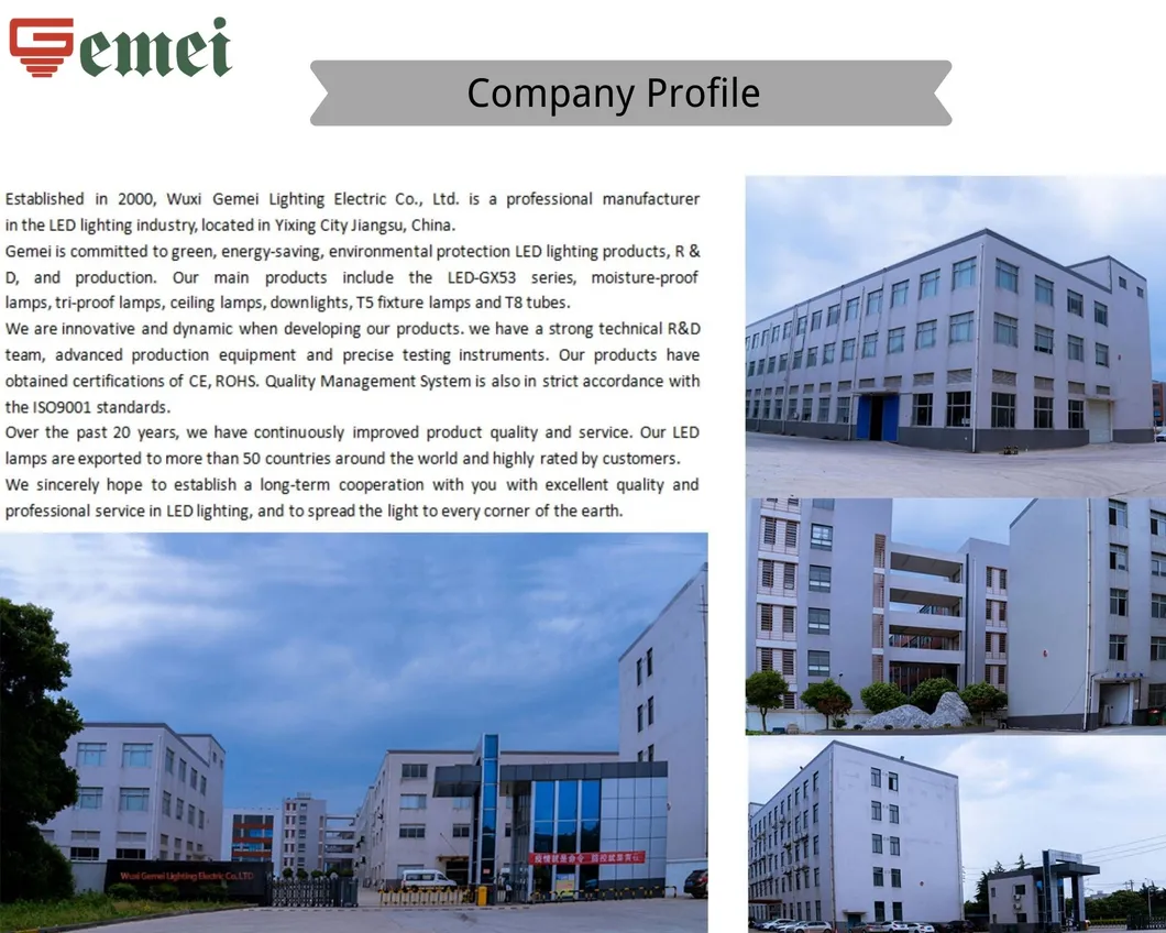 Easy Installation Decorative Lamp LED Flame Bulbs OEM/ODM CE EMC LVD RoHS