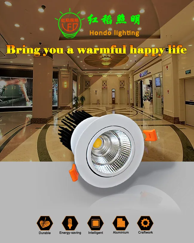 Factory Sale Cheap Price 20W COB Dimmable LED Ceiling Light