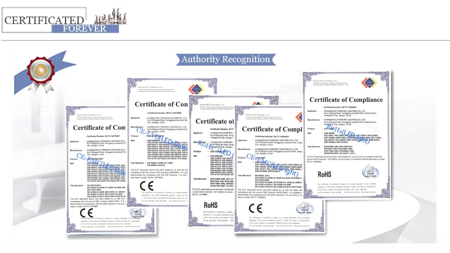 Fel-Dl-Sur-001 5W COB Surface Mounted LED Downlight