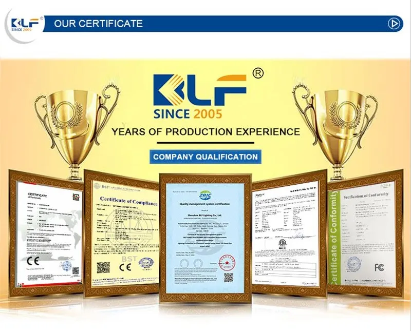 Great Heat Dissipation 100-265VAC CRI80+ PF0.9 50W 80W 100W LED Lamps Bulb LED Light Bulbs