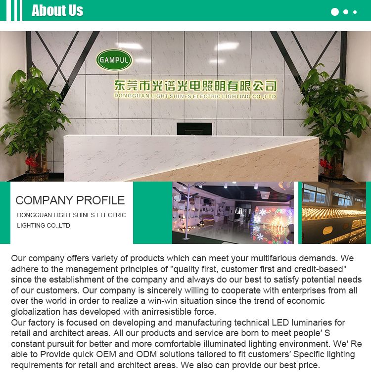 High Quality 2200K 0.9W LED Single Filament Bulb Light