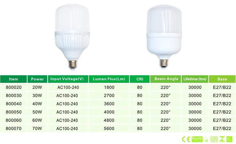 LED Bulb Light Frost High Power LED Bulb T80-140mm