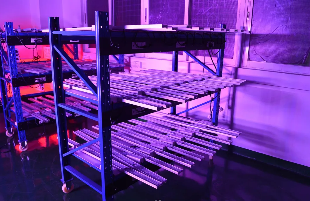 Master Grow Full Spectrum 200W 300W 600W 800W